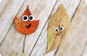 If You Find a Leaf: If You Find a Leaf:
